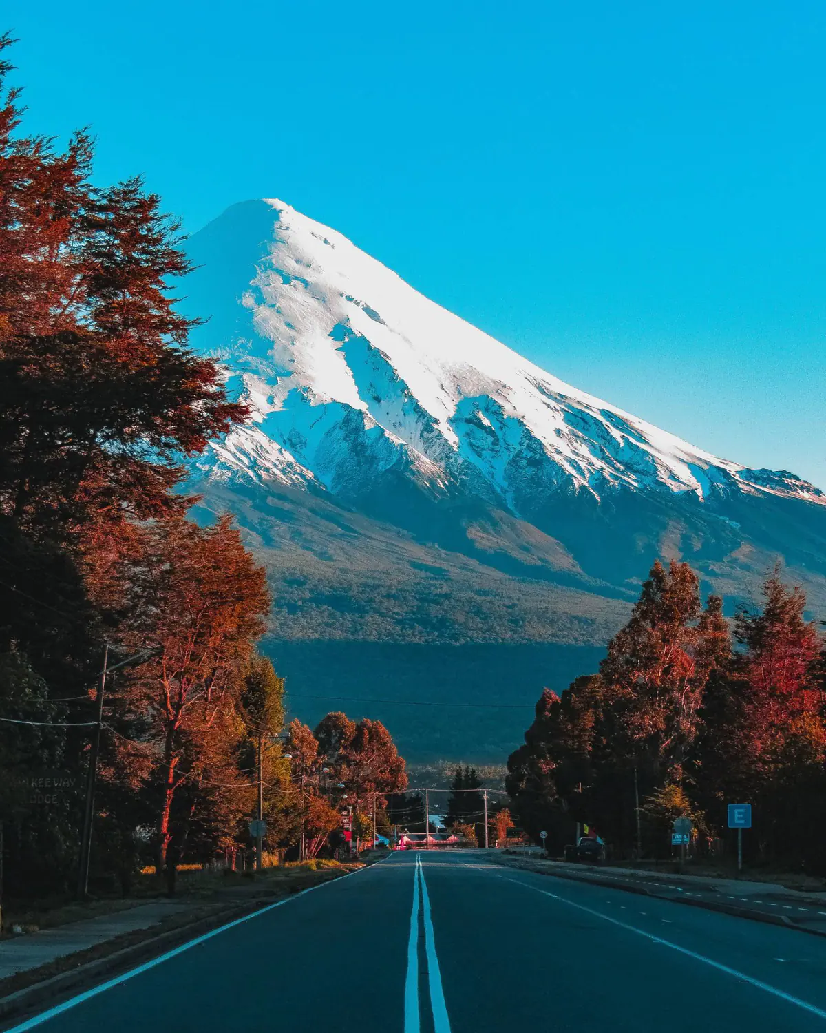 A road lined with autumn trees leading toward the snow-capped Osorno Volcano