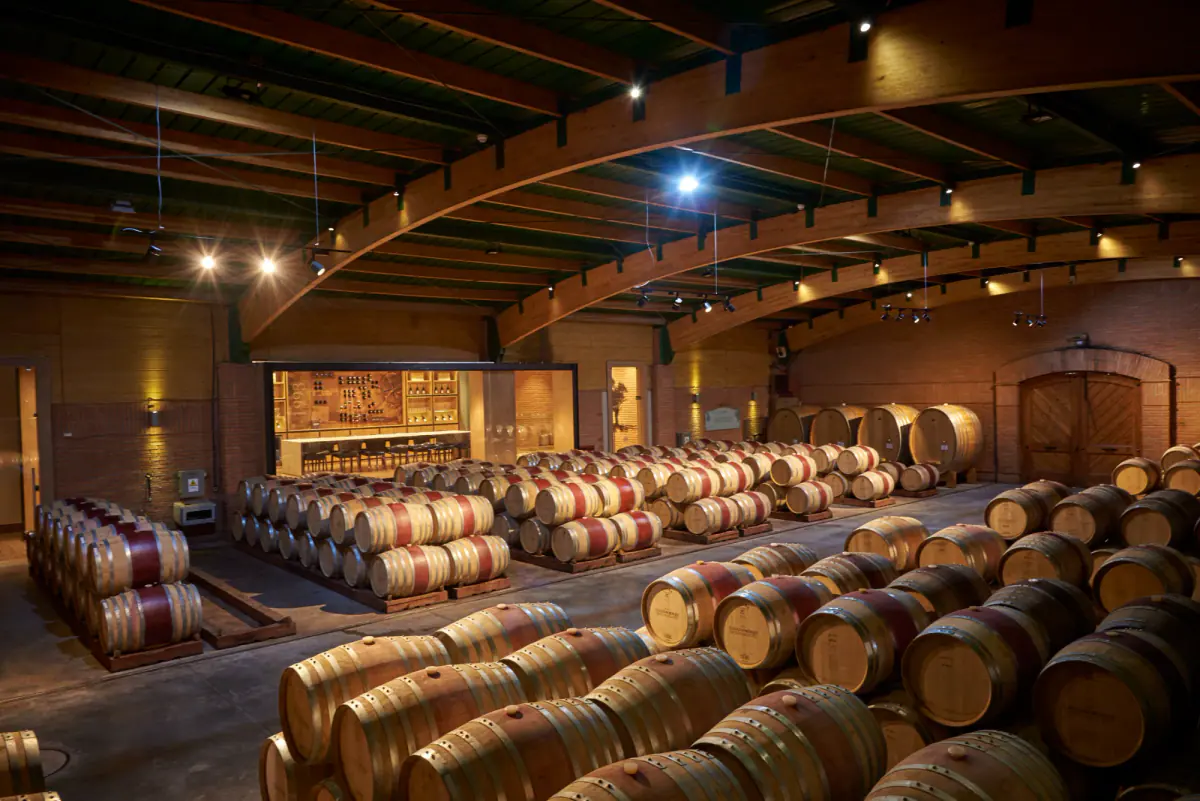 Oak barrels resting in a winery cellar